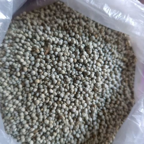 Organic Perilla Seeds, For Natural Perfumery, Medicine, Food Flavoring, Purity : 99%