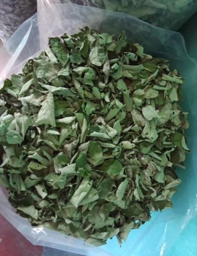 Organic Raspberry Leaves, For Human Consumption, Packaging Type : Plastic Bag