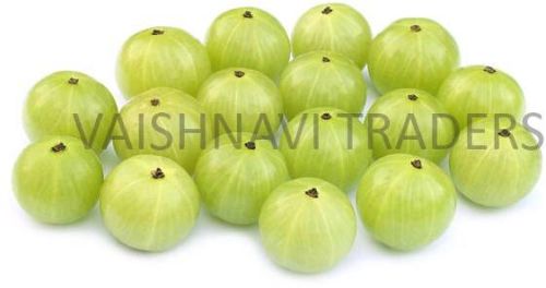 Fresh Green Amla / Gooseberry - Supplier