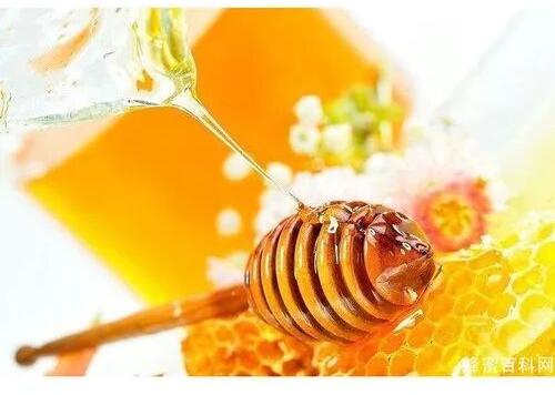 Eucalyptus Honey, Packaging Type : Plastic Jar