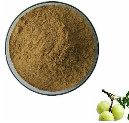 Amla Extract, Packaging Type : Polybag, Packet, Drum