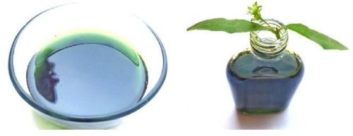 Bhringraj Oil, Packaging Size : 200ml, 250ml, 100ml