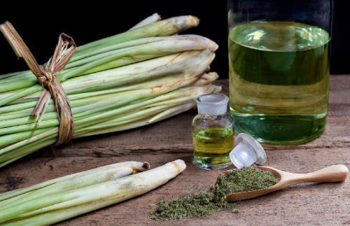 Organic Lemongrass Essential Oil, For Cosmetics Products, Flavouring Tea, Killing Bacteria, Reduce Body Aches