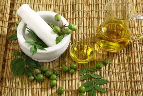 Azadirachta Indica neem oil