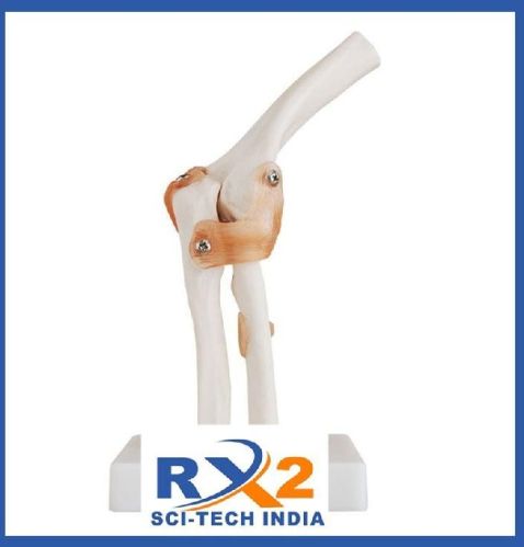 PVC Elbow Joint Model, For Medical Institute, Nursing Institute, School, Medical Students, Feature : Well Finished