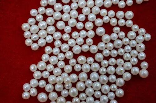 Off White Freshwater Pearl Bead, For Jewelry, Packaging Type : Packet