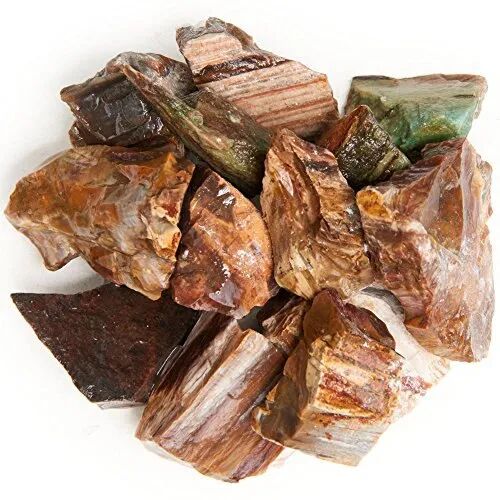 Brown Crystal Destination Petrified Wood