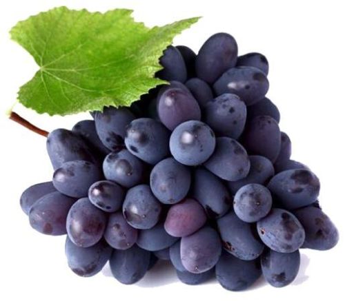 Sharad Grapes, Color : Black