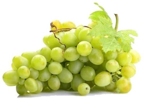 Sudhakar Seedless Grapes, Color : Whitish