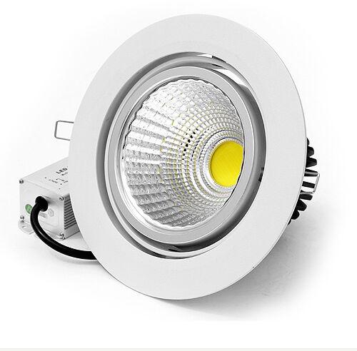 COB Movable Light