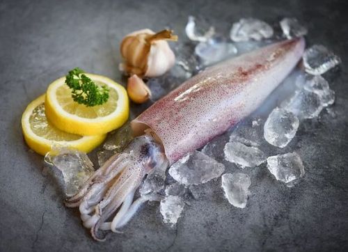 Frozen Squid