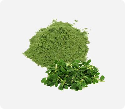 Organic Fenugreek Leaves Powder, Shelf Life : 6months