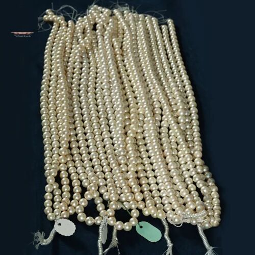 South Sea Pearl, Size : 13mm