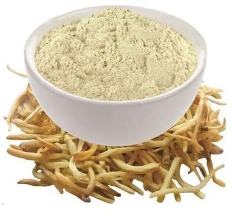 Safed Musli Extract, For Sed Arthritis, Cancer, Diabetes, Boosting Vitality, Improving Sexual Performance