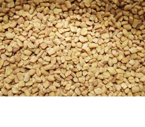 Fenugreek Seed, Shelf Life : 6 Month