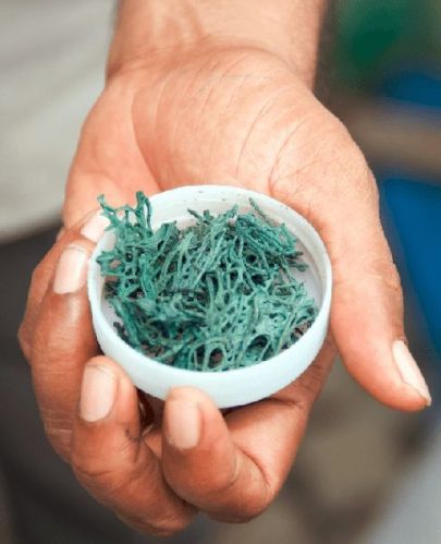 Organic Spirulina, Grade : Medicine Grade