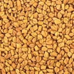 Brown Fenugreek Seeds, For Cooking