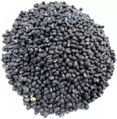 Natural Urad Dal, For Cooking, Specialities : Pure