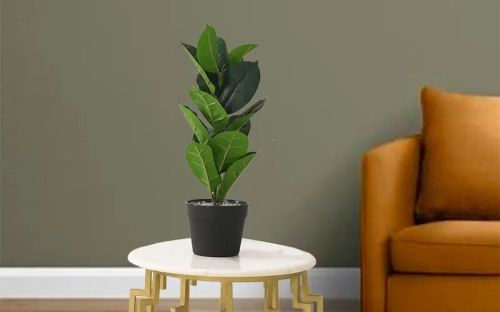 Artificial Rubber Plant With Plastic Pot, Color : Black Green