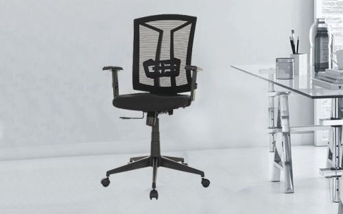 Royaloak Nylon Mesh Computer Chair, Color : Black