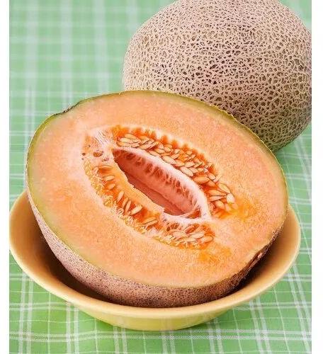 Frozen Muskmelon Dice, Packaging Type : Packet