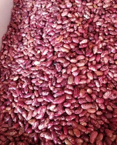 Natural Red Rajma, Packaging Type : Loose