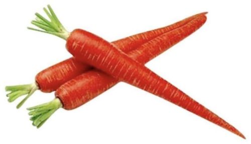 Red Natural Fresh Carrot, For Food, Juice, Pickle, Taste : Sweet