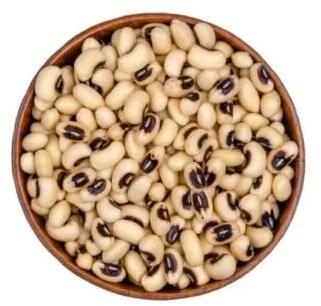 Granules Natural White Cowpea, For Cooking, Packaging Size : 10 Kg