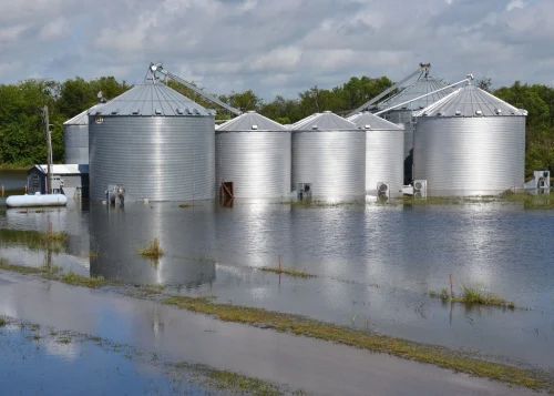 Cylindrical Mild Steel Grain Storage Silos, Color : Silver