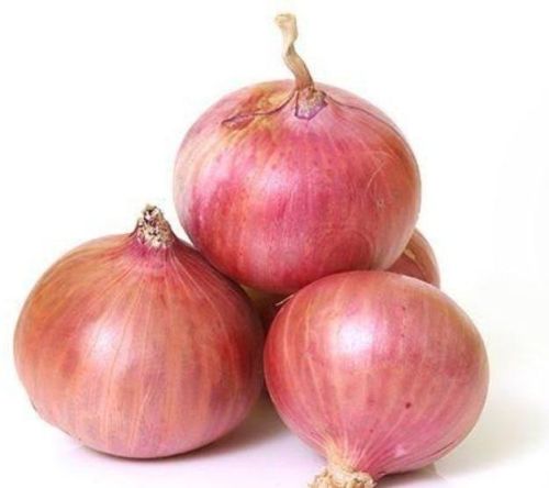 Red Onion, Cultivation Type : Natural For Cooking
