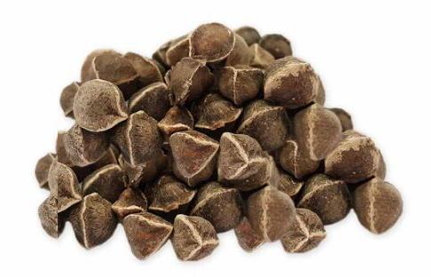 Moringa Seed Oil