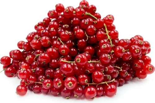 Fresh Red Currant