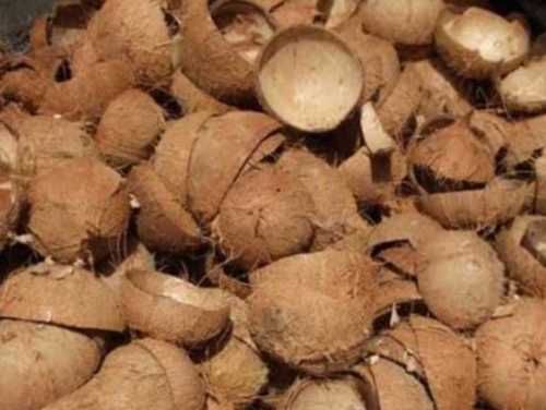 Coconut Shells, For Handicraft, Style : Dried