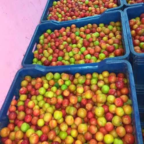 Fresh Plums