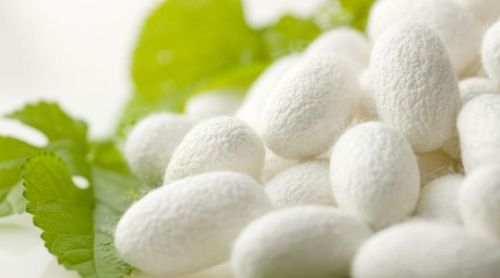 Natural Cocoon, For Textile Industry, Packaging Size : 50-100 Kg