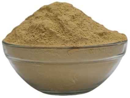 Organic Bhumi Amla Powder, For Cooking, Hair Oil, Medicine, Skin Products, Certification : FSSAI Certified