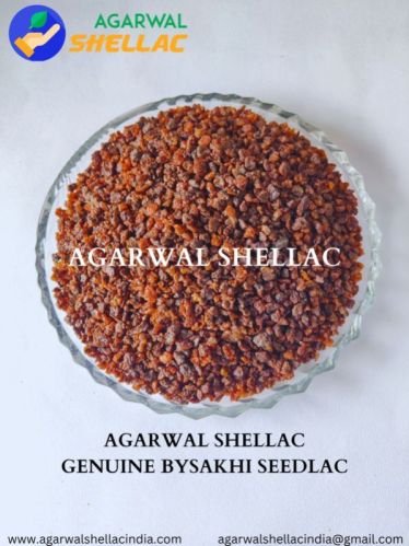 Agarwal Shellac Golden Kusmi Seedlac