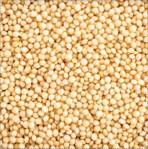 Natural Amaranth Seeds, For Cooking, Style : Dried