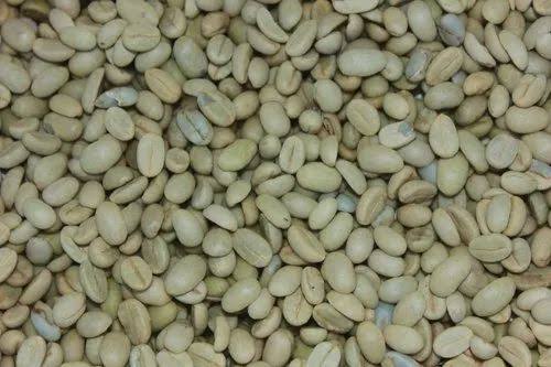 Unroasted Arabica Coffee Beans, Color : Green, Grade : Premium