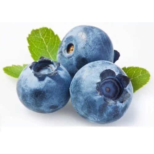 Natural Fresh Blueberry, Packaging Type : Plastic Packet