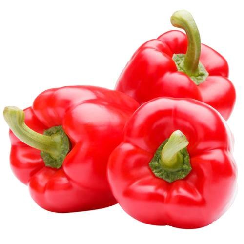 Fresh Red Capsicum, For Cooking, Packaging Type : Gunny Bags