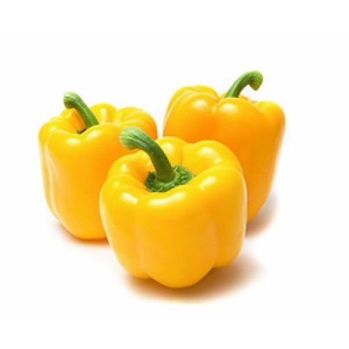 Fresh Yellow Capsicum, For Cooking, Shelf Life : 3-5days