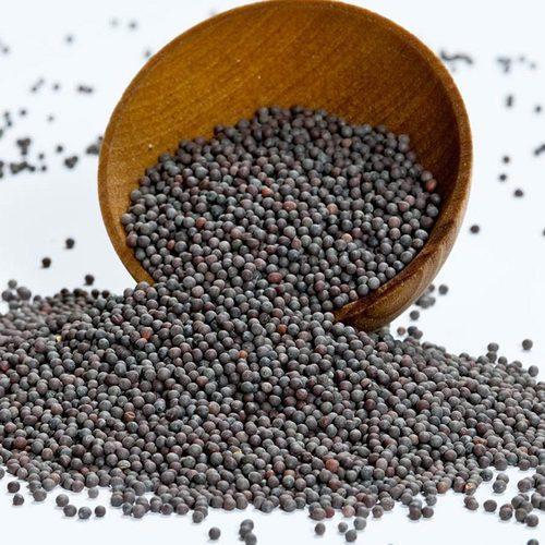 Granules Mustard Seeds, For Spices, Shelf Life : 9 Month