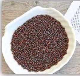 Brown Mustard Seeds, For Cooking