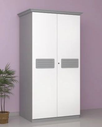 Rectangular Polished Wooden Shelly 2 Door Wardrobe, For Home Use, Size : Standard