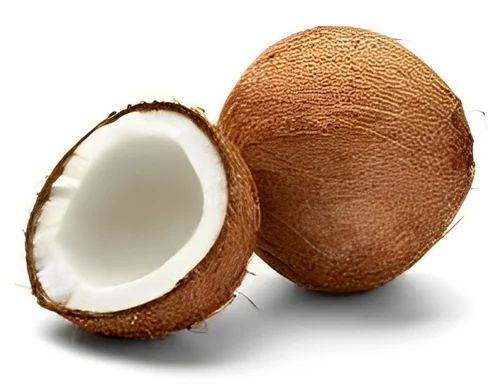 Solid Hard Organic Fresh Coconut, For Pooja, Medicines, Cosmetics, Color : Brown