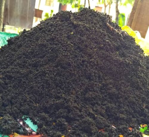 Organic Vermicompost Fertilizer For Agriculture