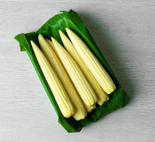 Fresh Baby Corn, For Human Consumption, Packaging Type : Plastic Packet