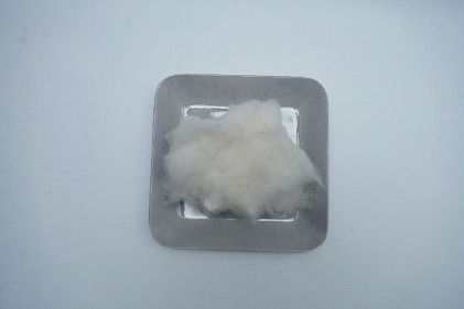 Plain Raw Cotton