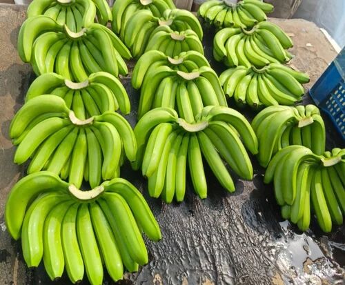 Natural Raw Green G9 Banana, Packaging Type : Plastic Crate